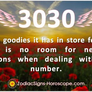 Angel Number 4040 Meaning: Life Under the Spell of the Angels | ZSH