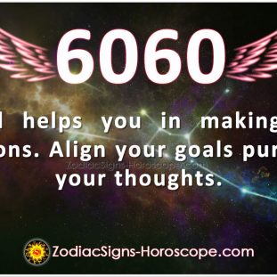 Angel Number 5050 Meaning: Discovering Your Life Opportunities | ZSH