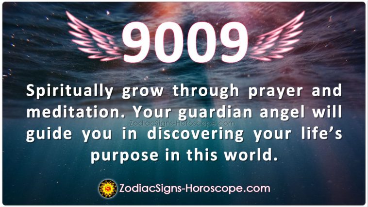 Angel Numaber 9009 Meaning