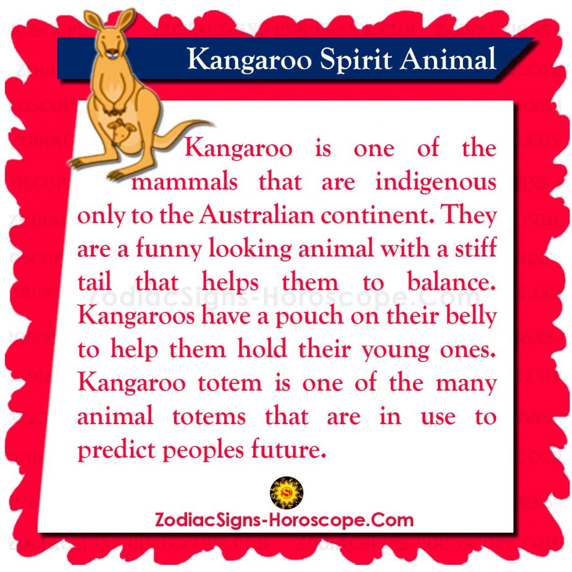Kangaroo Spirit Animal Meaning and Symbolism Kangaroo Totem ZSH