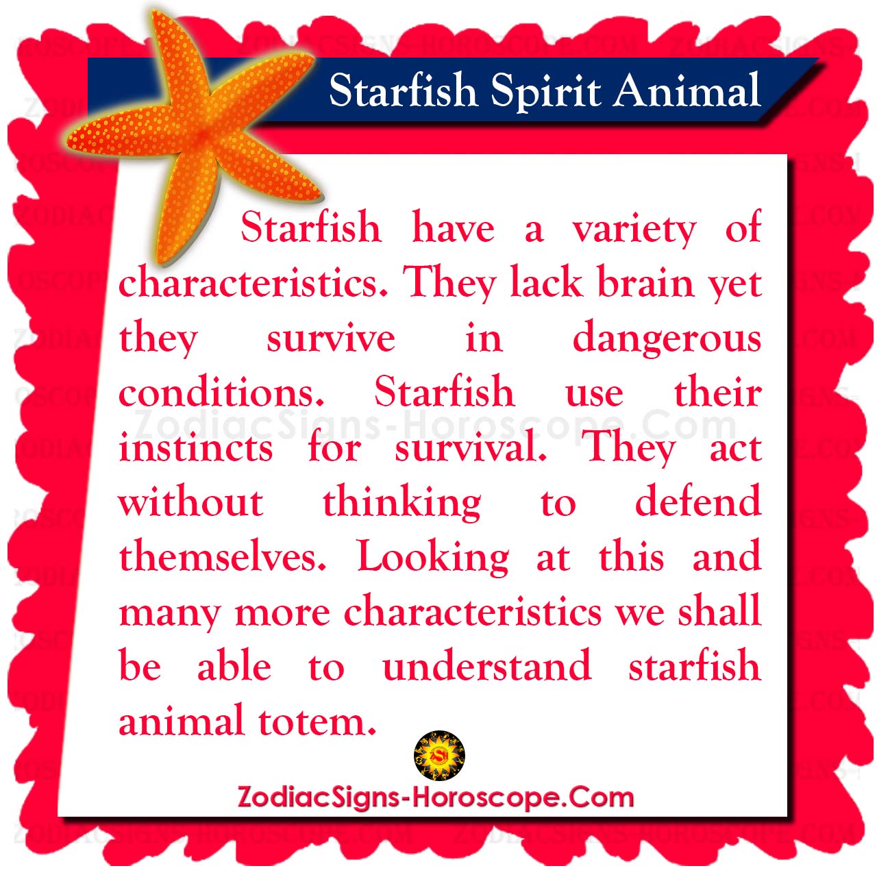 Starfish Spirit Animal Meaning