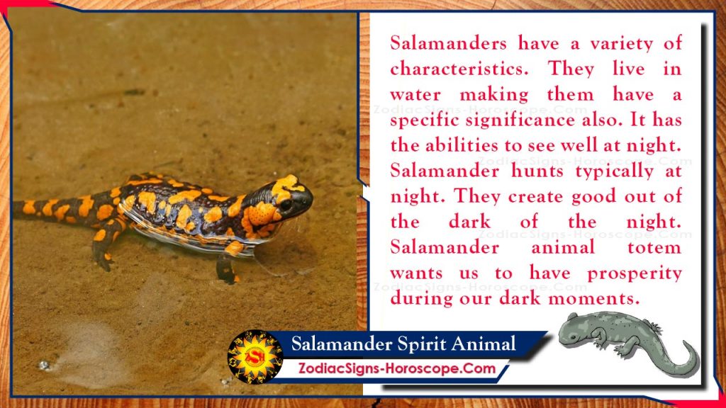 Salamander Spirit Animal Meaning, Messages and Symbolism ZSH