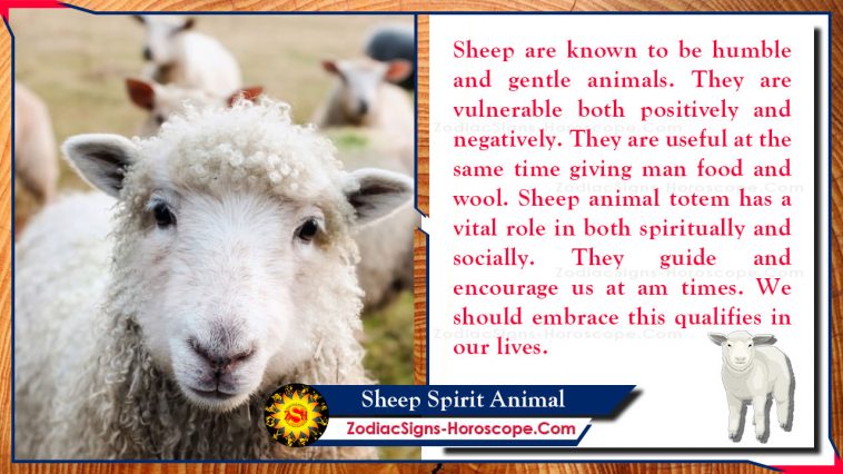 Sheep Spirit Animal Meaning