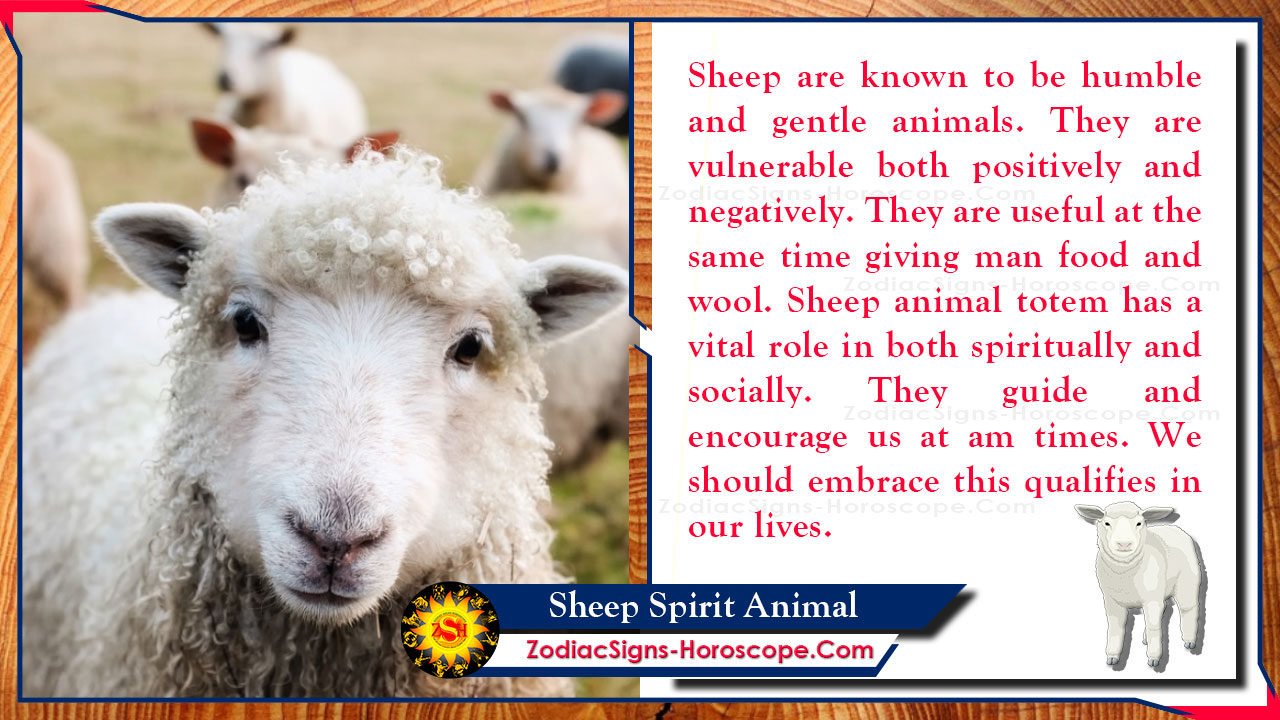 Sheep Spirit Animal Totem, Meaning, Messages and Symbolism ZSH