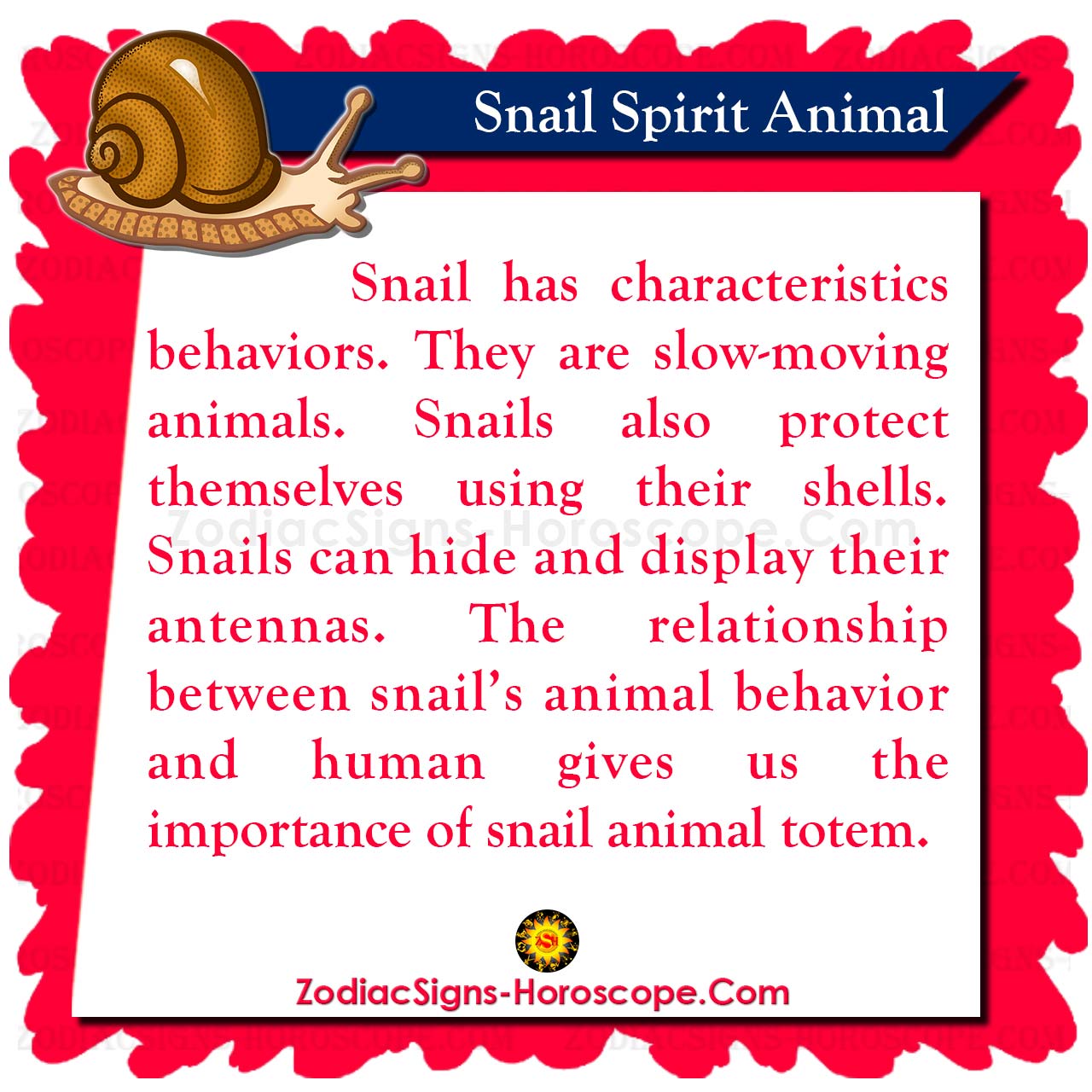 Snail Spirit Animal Meaning
