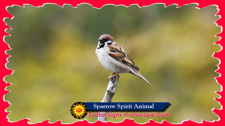 Simbolika živalskega duha vrabca