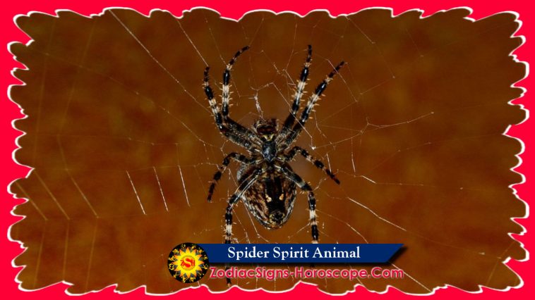 Spider Spirit Dierensymboliek