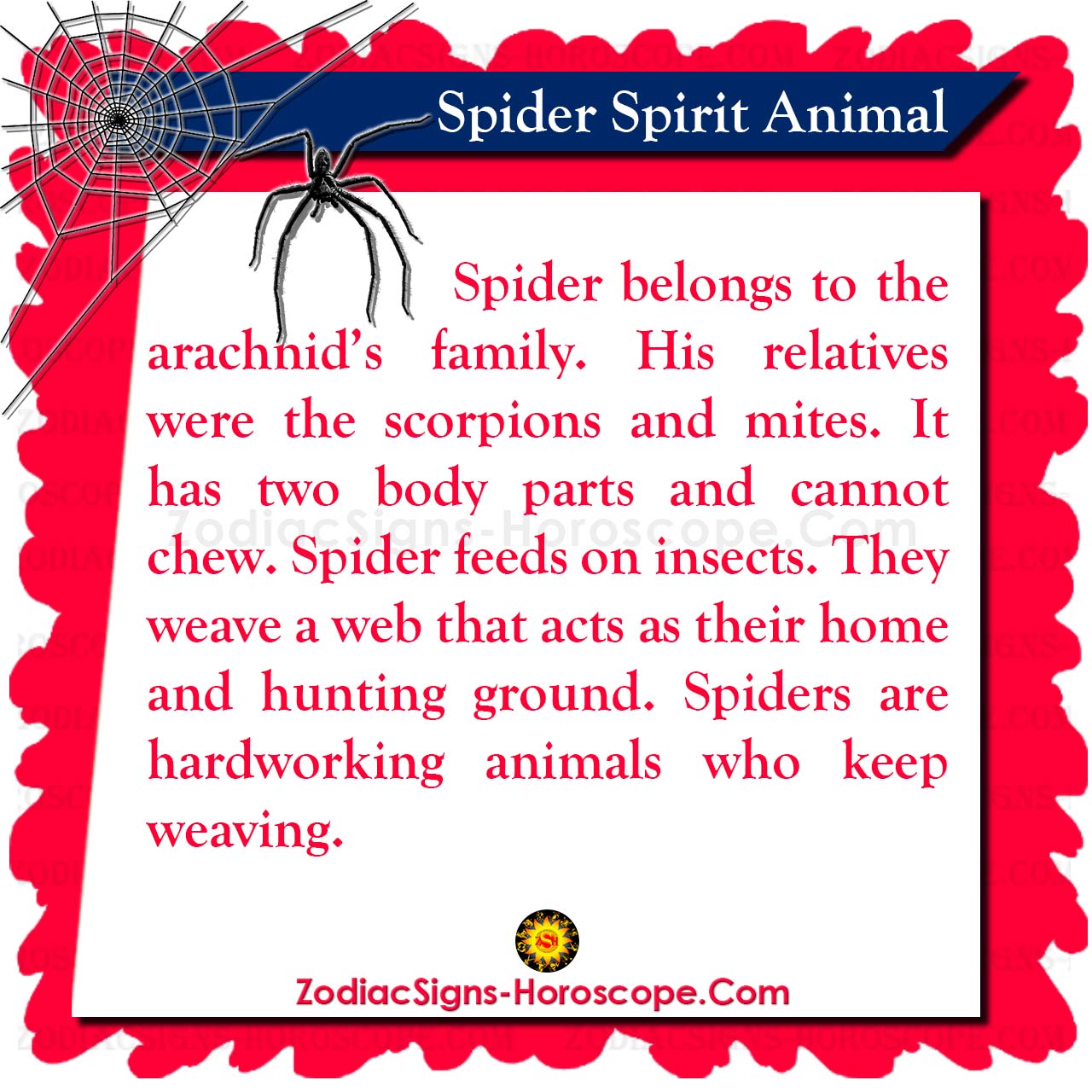 Spider Spirit Animal Meaning