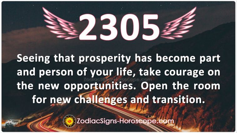 Angel Number 2305 Meaning