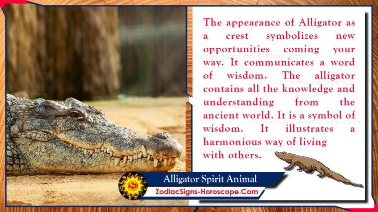 Alligator Spirit Animal Totem Meaning