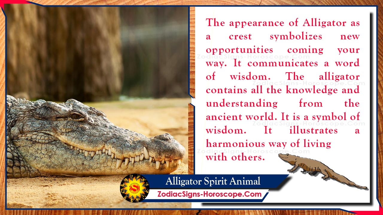 Alligator Spirit Animal: Meaning, Messages, Symbolism and Dreams | ZSH
