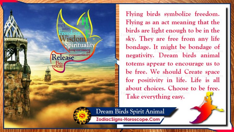 Els ocells dels somnis Esperit animal Totem Significat