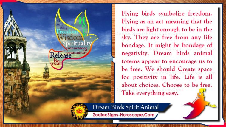 Dream Birds Spirit Animal Totem ความหมาย