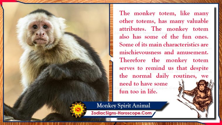 Totem Animal Esprit Singe Signification