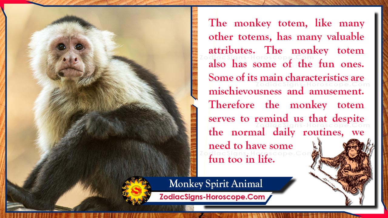 Monkey Spirit Animal Totem, Meaning, Symbolism and Dreams ZSH