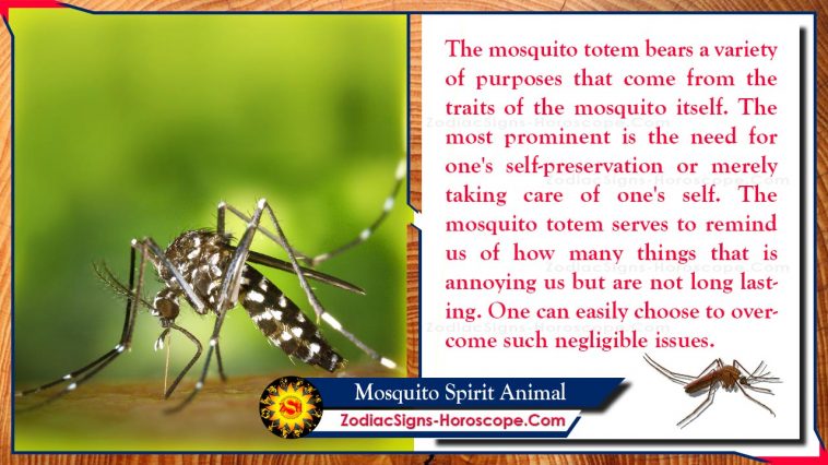 Mosquito Spirit Animal Totem Merkitys