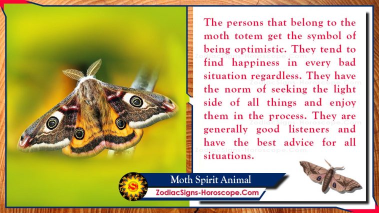 Moth Spirit Animal Totem Značenje