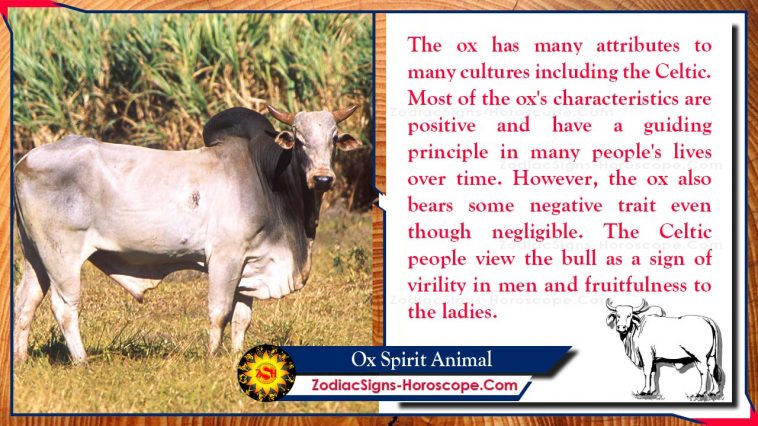Ox Spirit Animal Totem Meaning