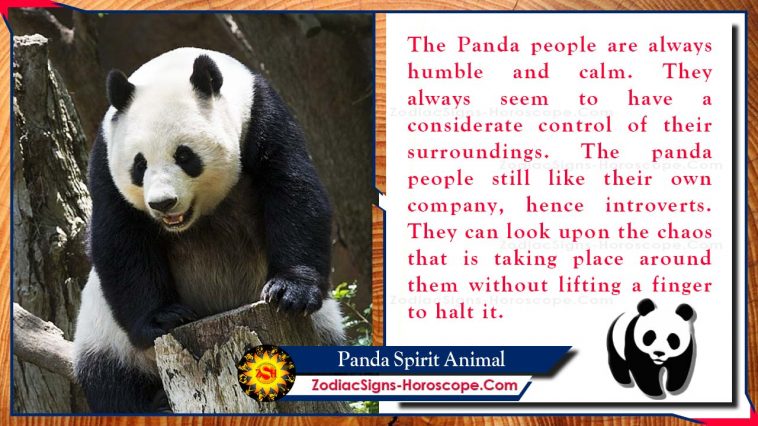 पांडा आत्मा प्राणी टोटेम अर्थ