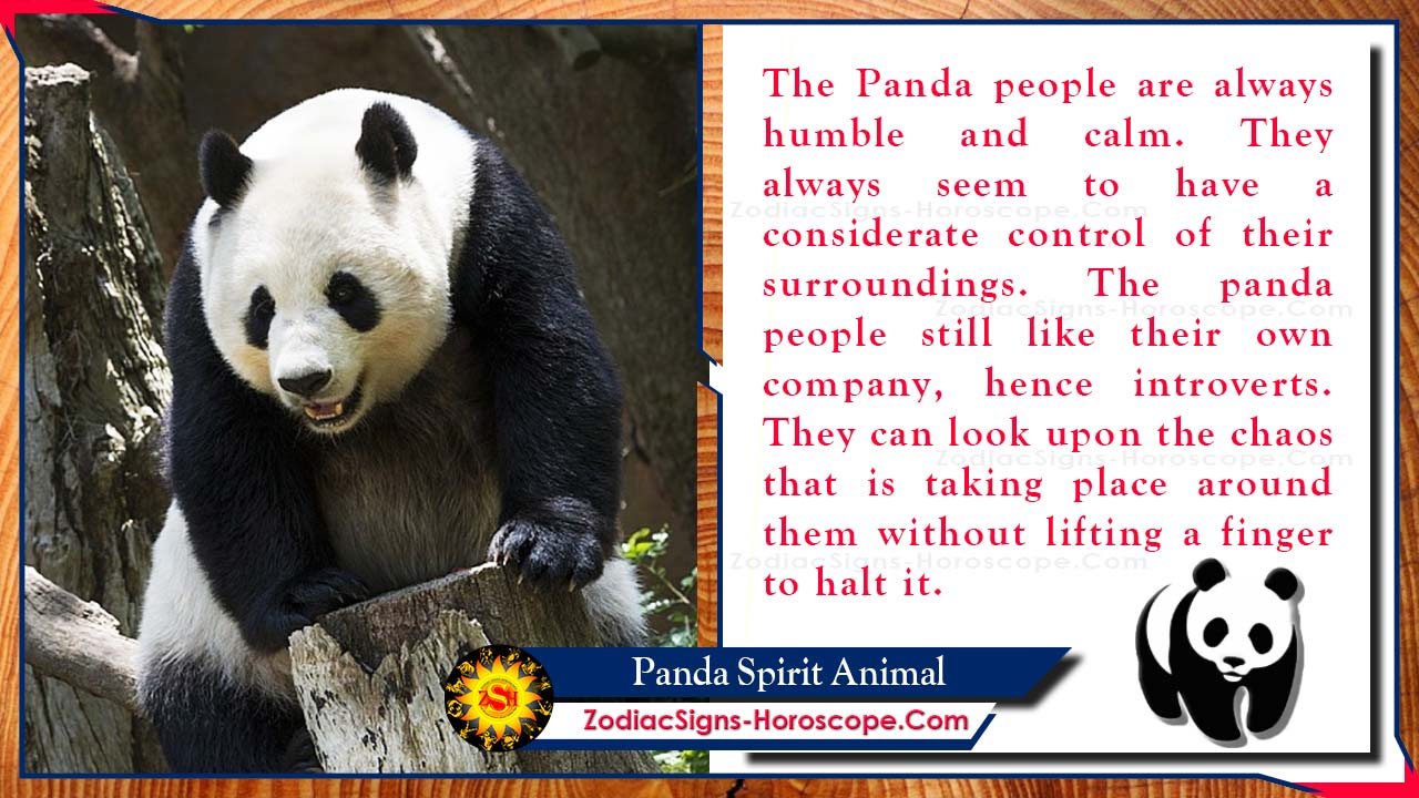 Panda Spirit Animal: Totem, Meaning, Symbolism and Dreams | ZSH Panda Spirit Animal: Totem, Meaning, Symbolism and Dreams | ZSH