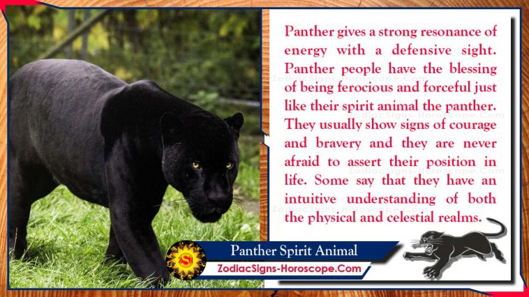 Panther Spirit Animal Totem Merkitys