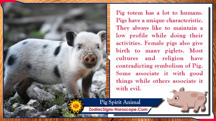 Pig Spirit Animal Totem Merkitys