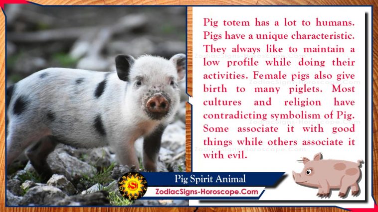 Pig Spirit Animal Totem Betydning