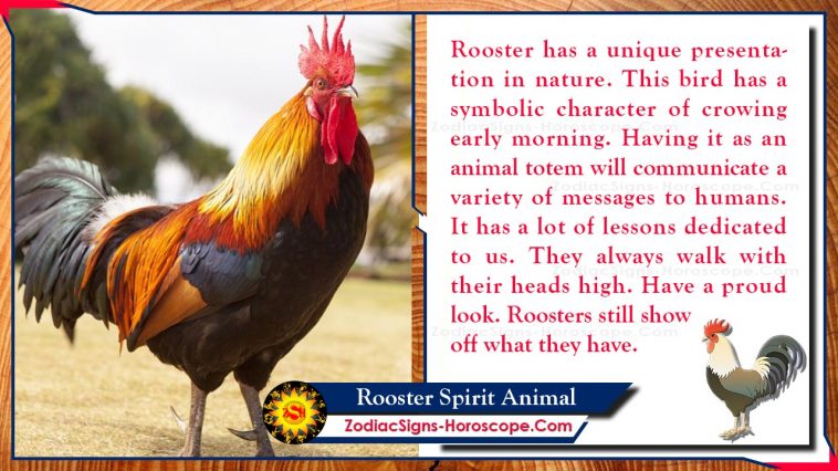 Rooster Spirit Animal Totem Meaning
