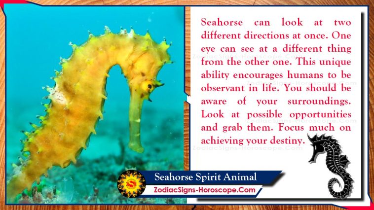 Seahorse Lespri bèt Totem siyifikasyon