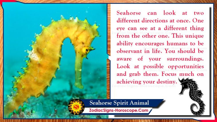 Seahorse Spirit Animal Totem Իմաստը