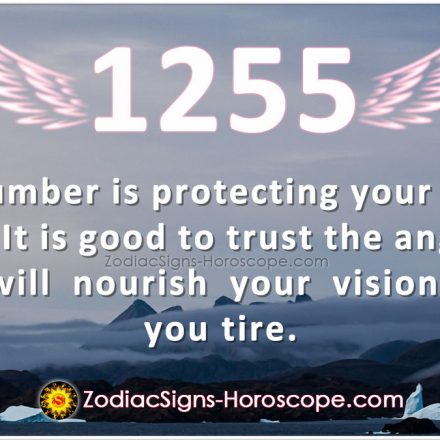 Angel Number 1444 is a custodian of good morals in the community | ZSH