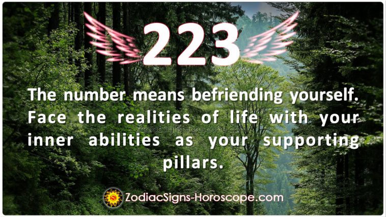 Angel Number 223 Meaning