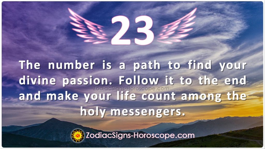 Angel Number 23 is a Path to Find Your Divine Passion  ZSH