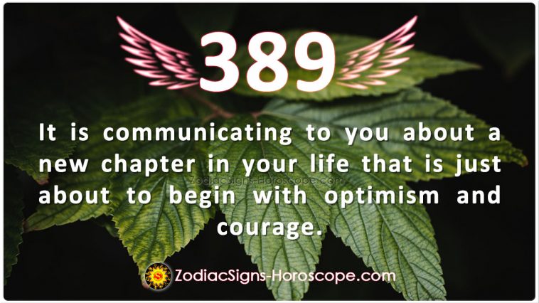 Angel Number 389 Meaning