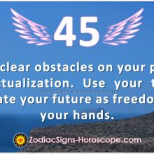 Angel Number 1444 is a custodian of good morals in the community | ZSH