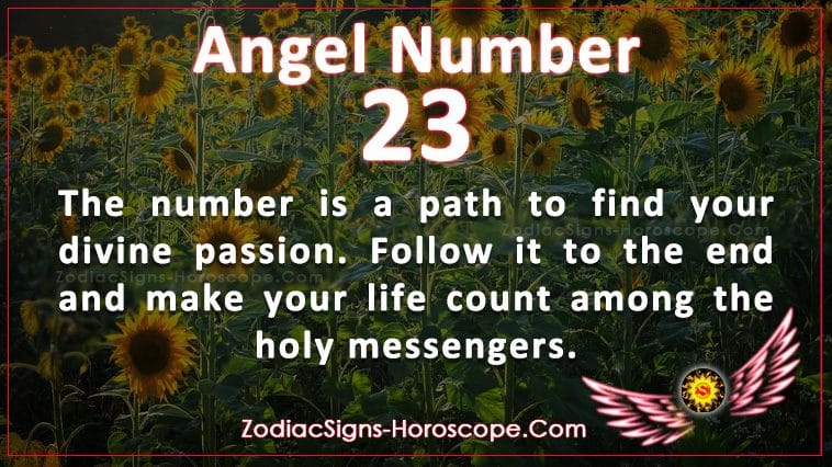 Angel Number 23 is a Path to Find Your Divine Passion  ZSH