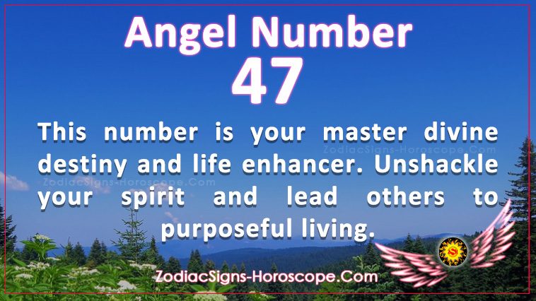 Angel Number 47 is Your Master Divine Destiny and Life Enhancer | ZSH