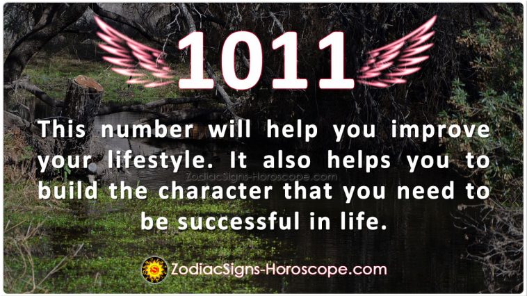 Angel Number 1011 Meaning