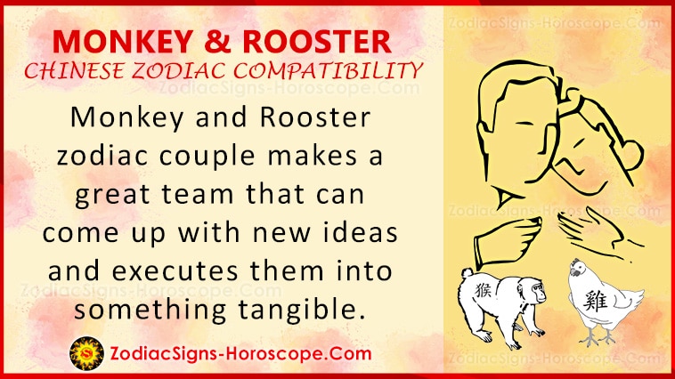 Monkey and Rooster Compatibility
