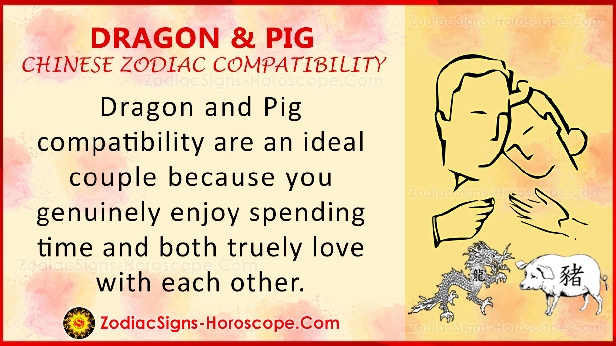 chinese new year pig compatibility