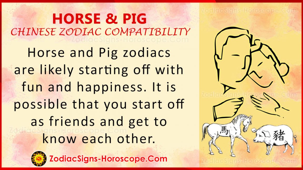 Horse and Pig Chinese Zodiac Compatibility Love and Relationship ZSH