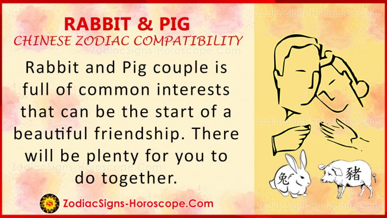 chinese new year pig compatibility