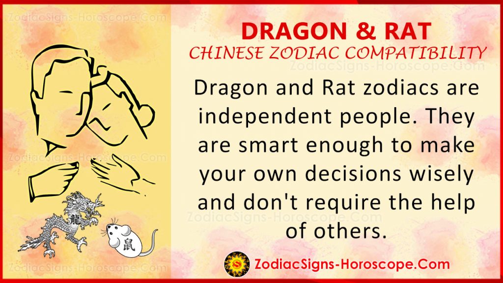 Dragon and Rat Chinese Zodiac Compatibility Love and Relationship