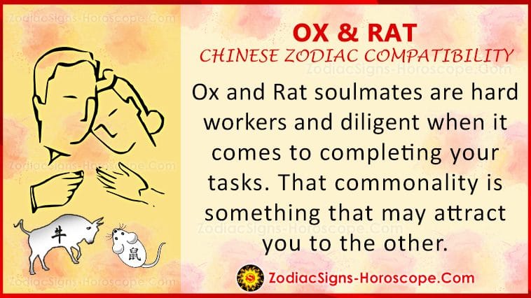 Ox at Rat Love Compatibility