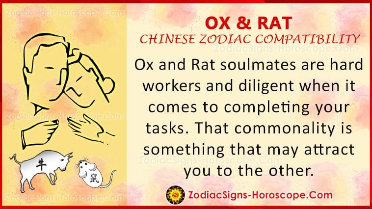 Ox and Rat Love Compatibility