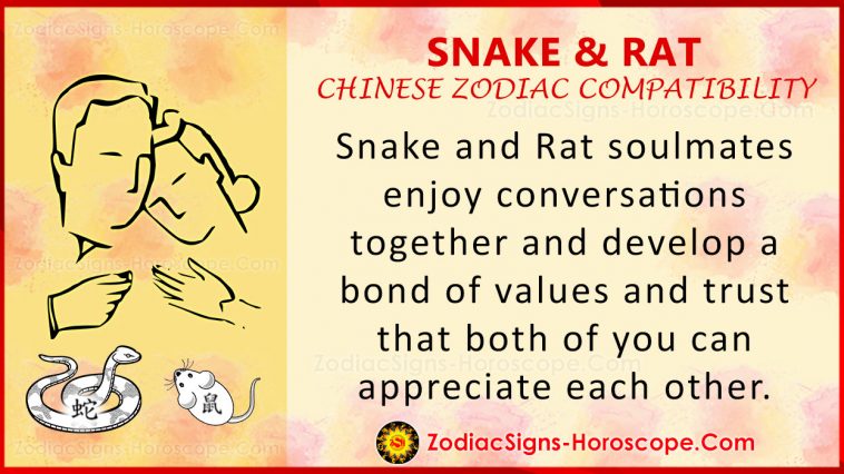 Compatibilité serpent et rat