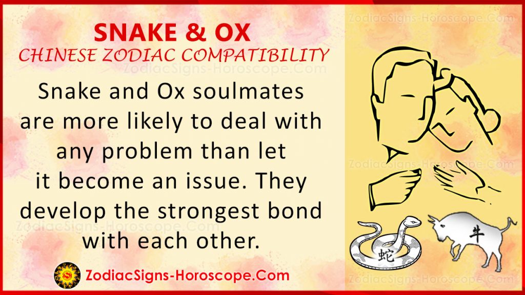 Snake and Ox Chinese Zodiac Compatibility: Love and Relationship