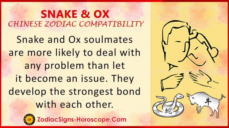 Snake and Ox Chinese Zodiac Compatibility