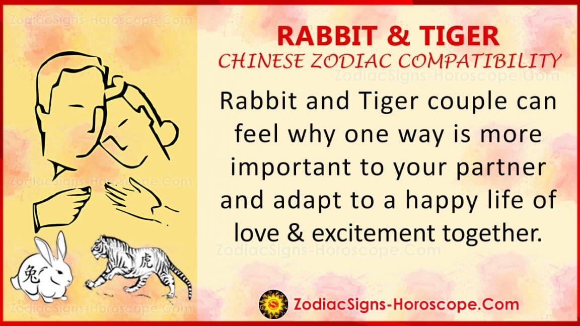 Rabbit and Tiger Chinese Zodiac Compatibility Love and Relationship