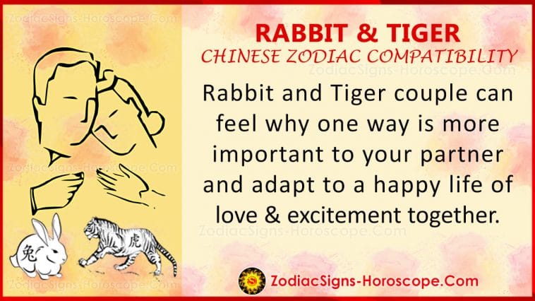 Кролик и Тигр Китайская совместимость